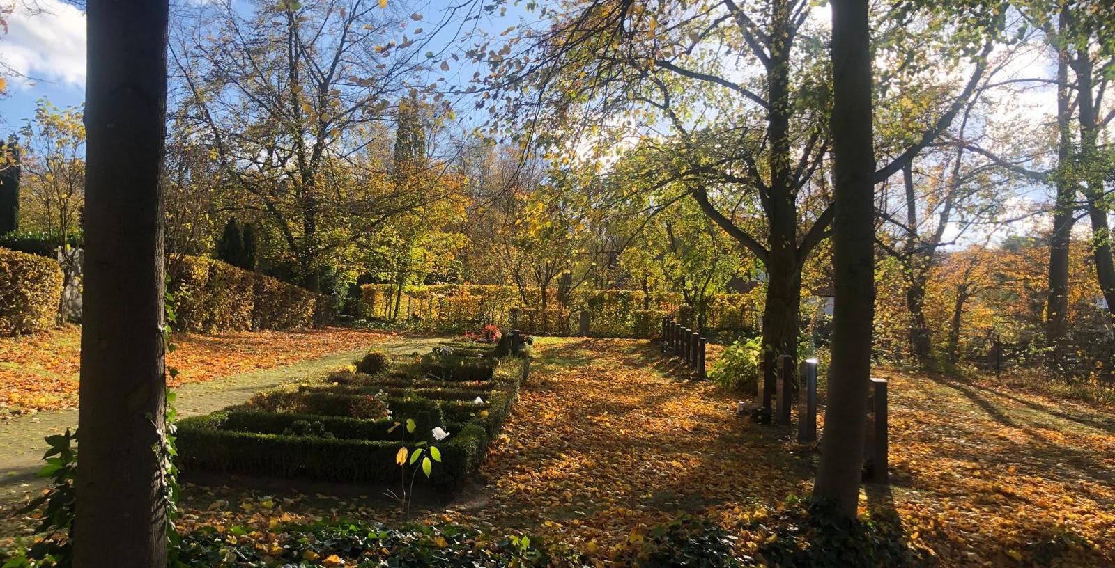 Community Background Picture